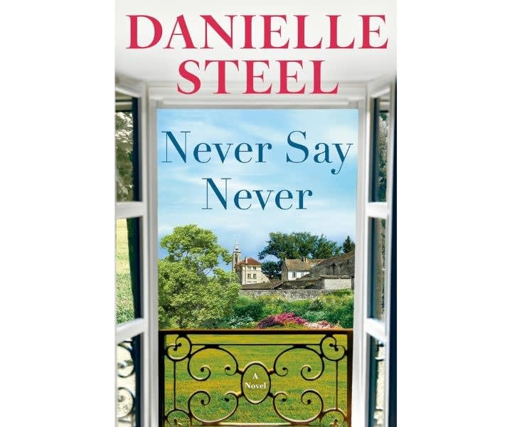 Never Say Never: A Novel product review