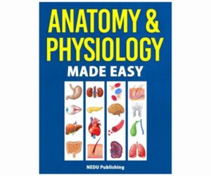 Anatomy & Physiology Made Easy Easily Learn Anatomy-Physiology: Full Review and Analysis