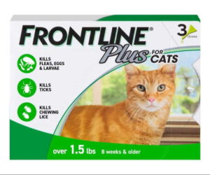 Frontline Plus Flea and Tick Treatment for Cats Over 1.5 lbs. Review: Is It Worth It?
