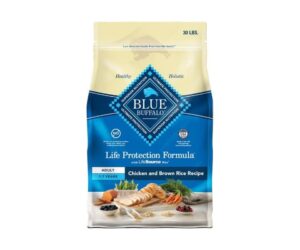 Blue Buffalo Life Protection Formula Adult Dry Dog Food Review: What You Need to Know