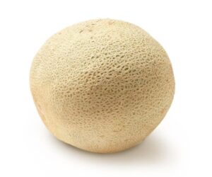 Cantaloupe Melon