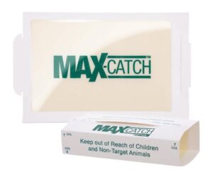 Catchmaster Max-Catch Mouse & Insect Glue Trap 36Pk Review: Is It Worth It?