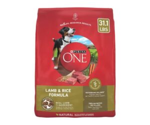 Purina ONE Dry Dog Food Lamb and Rice Formula - 31.1 lb. Bag Review: Is It Worth It?