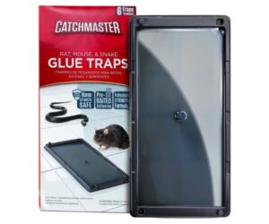 Catchmaster Rat & Mouse Glue Traps 6Pk Pre-Scented Adhesive Review: Is It Worth It?
