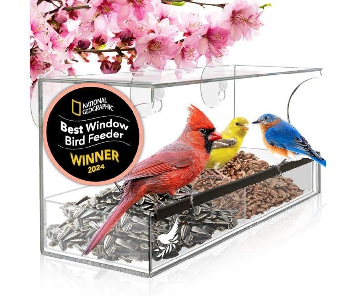 Window Bird Feeder: Attract Birds, Easy Use, Large Suction Cups product review