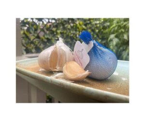 Elephant Garlic 2 Huge Bulbs!: Full Review and Analysis