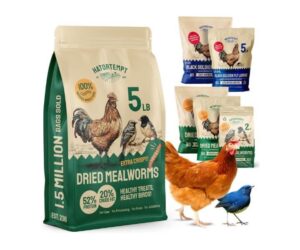Dried Mealworms 5 lbs – Premium Organic Non-GMO Dried Review: Is It Worth It?