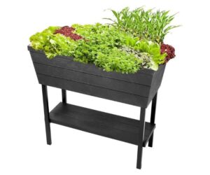 Keter Urban Bloomer 12.7 Gal Self-Watering Garden Planter Review: Is It Worth It?