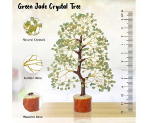 Green Jade Chakra Tree - Feng Shui Money Bonsai Review: Is It Worth It?
