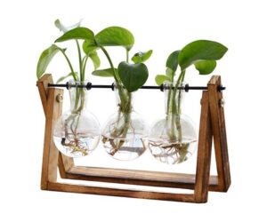 XXXFLOWER Terrarium Stand