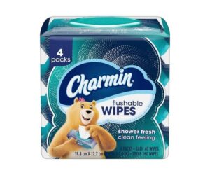 Charmin Flushable Wipes