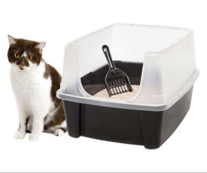 IRIS USA Large Cat Litter Box with Scatter Shield and Scoop Review: Is It Worth It?