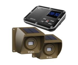 Solar Driveway Alarm