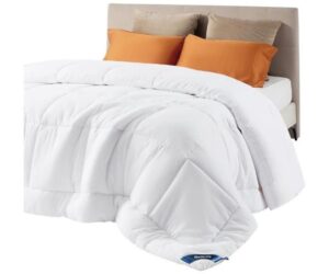 Is Bedsure Comforter Duvet Insert - Quilted Comforters Queen Size, All Season Duvet Worth It? Full Review