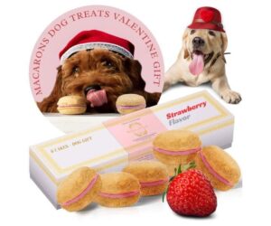 Bonne et Filou Dog Macarons, Gourmet Valentine Treats Review: Is It Worth It?