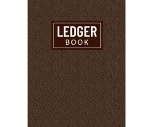 Simple Accounting Ledger for Small/Medium Businesses Review: Is It Worth Buying?