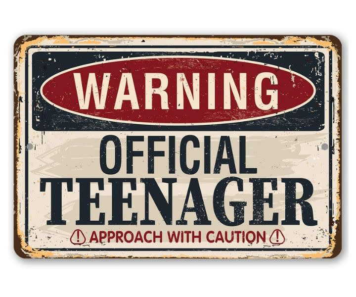 Teenager Warning Metal Sign - 8x12 Funny Decor product review
