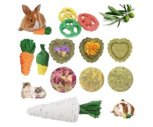 Lacrima Rabbit Chew Toys: Full Review and Analysis