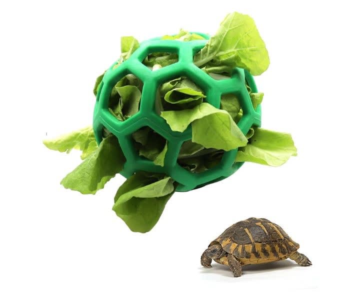 Tortoise Treat Ball Toy Hay Feeder Ball Hanging Feeding Grass Ball product review