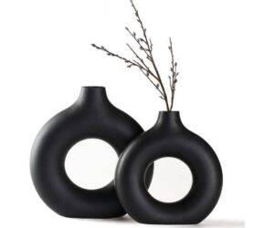 CEMABT 2pc Modern Black Ceramic Vase for Decor Review: Is It Worth It?
