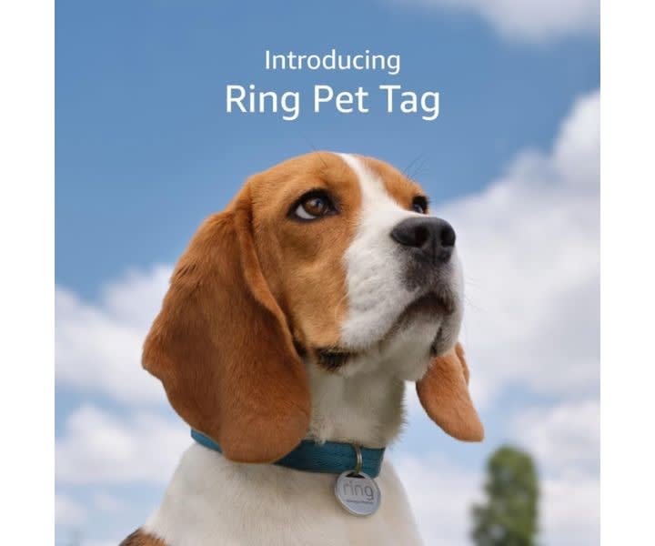 Ring Pet Tag: QR Code, Real-Time Alerts, No Fees product review