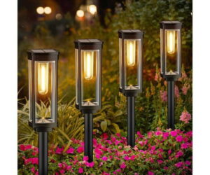 Bright Solar Pathway Lights
