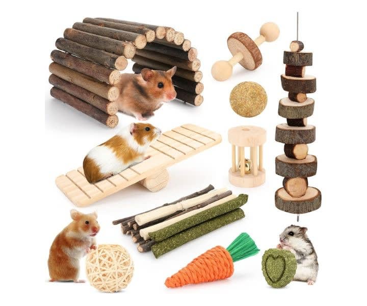 12 Different Chew Toys for Guinea Pig, Chinchillas, Gerbils, Mice product review