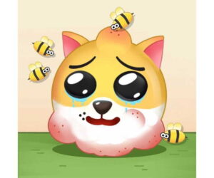 Save The Doge Review: Is It Worth It?