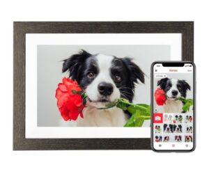 10.1'' Frameo WiFi Digital Photo Frame