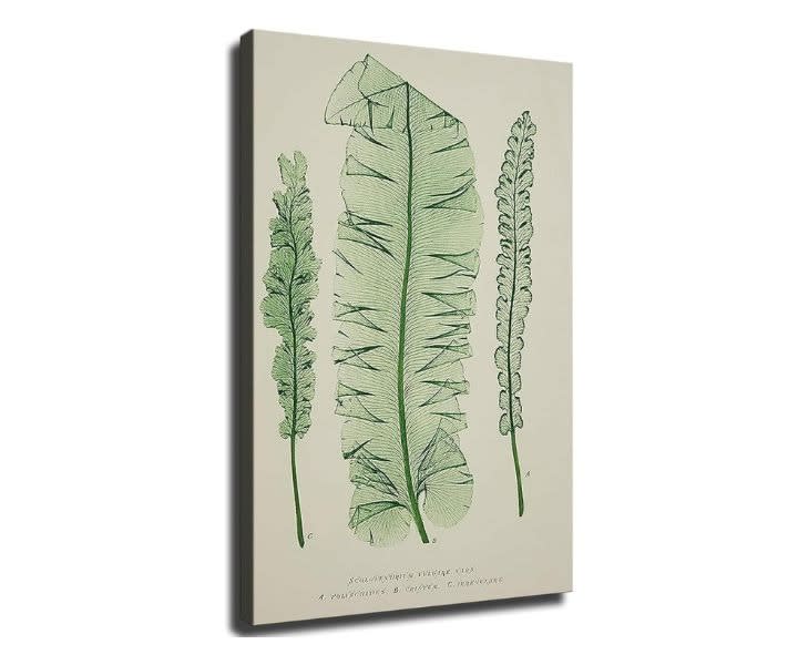 Norhi Stone & Beam Modern Green on White Botanical Canvas product review