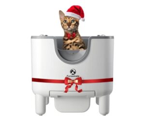 Open-Top Automatic Self-Cleaning Litter Box: Full Review and Analysis