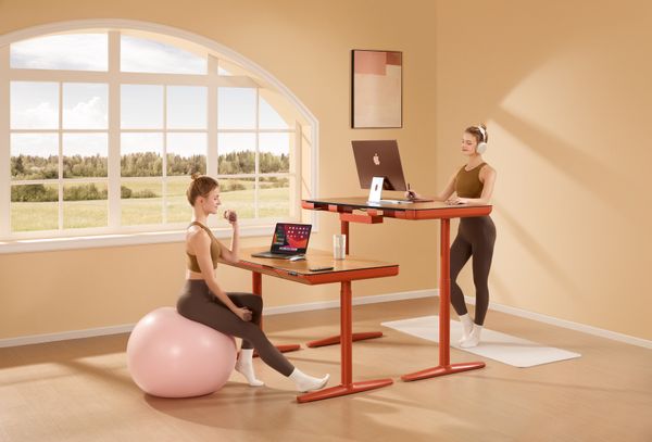 FlexiSpot M1B Standing Desk Converter